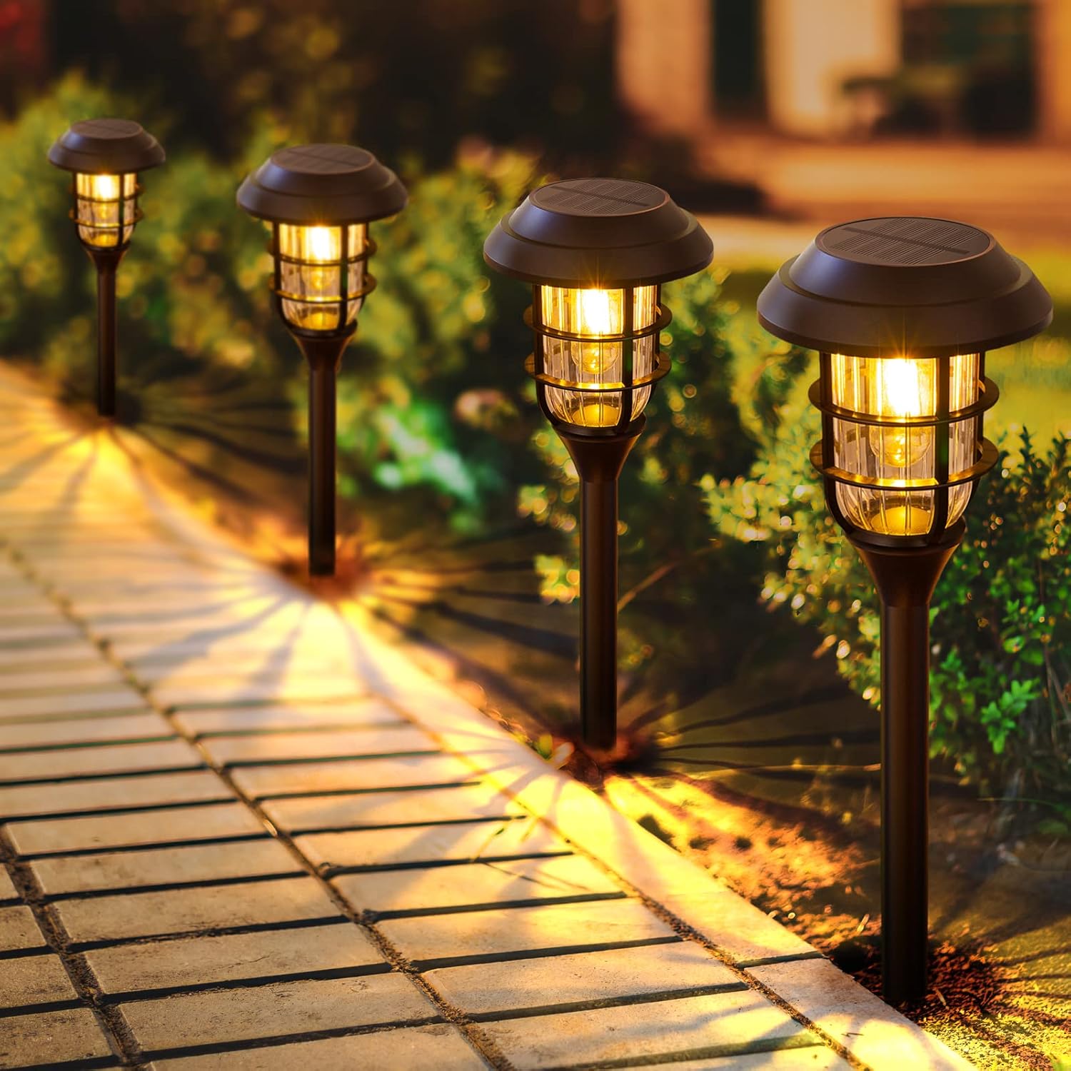 Outdoor Lights